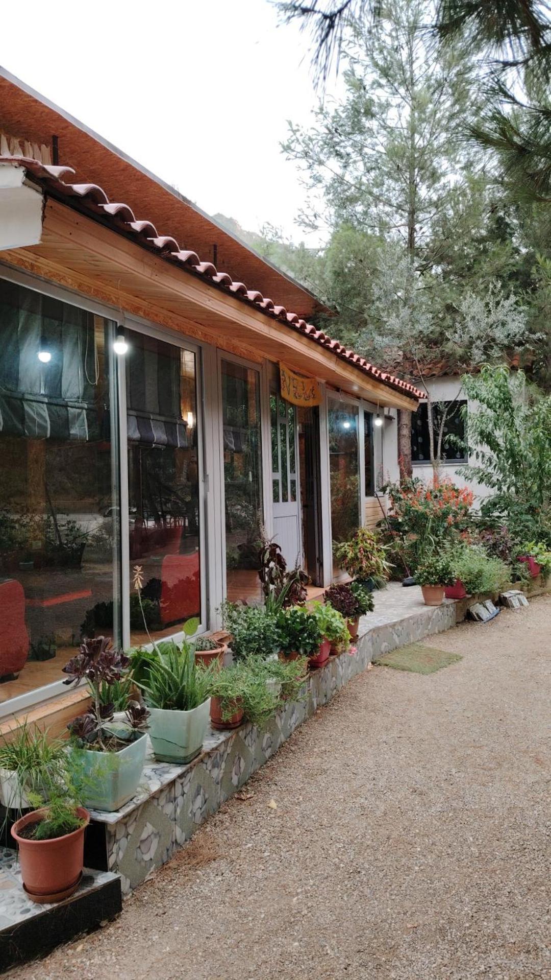 Bovilla Canyon Dajti Exterior photo